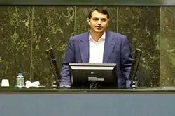 چه کسی تراستی‌ها را انتخاب کرد؟/ عضو کمیسیون بودجه: تصمیم‌گیران پاسخگو باشند/ دهک‌های پایین گرفتار خرید یک کیلو مرغ و تخم‌مرغ و حداقل‌های زندگی هستند