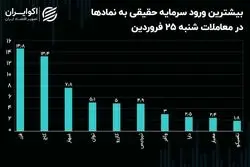 24 نقطه سبز در آسمان قرمز بورس تهران!/ سهم‌هایی که خلاف جهت ریزش بازار سهام شنا کردند!
