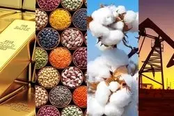 سیگنال چینی و نفتی کامودیتی‌ها را گران کرد
