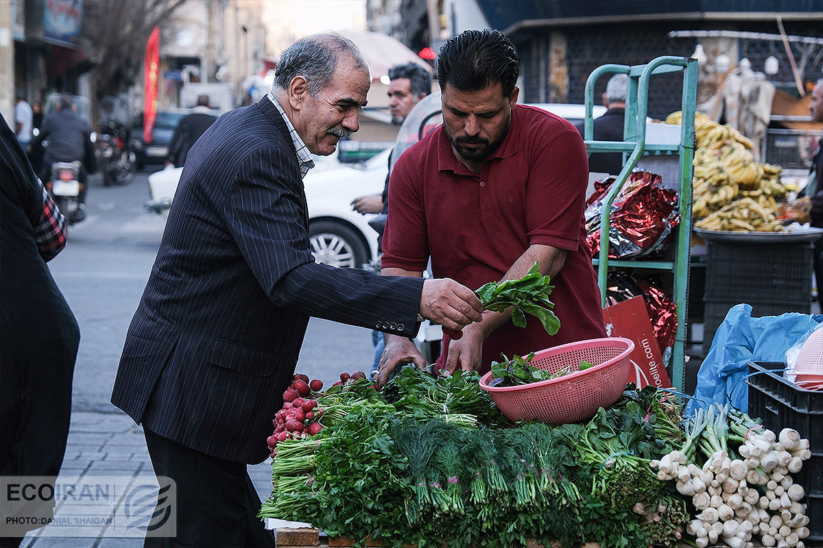 افت و خیز گرانی مواد غذایی در یک دهه اخیر 