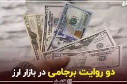 دو روایت برجامی در بازار ارز