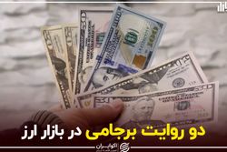 دو روایت برجامی در بازار ارز