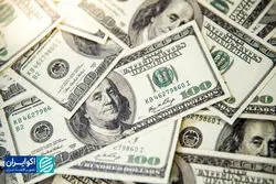 تنوع کانال در قیمت دلار