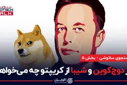 ایلان ماسک از پامپ دوج کوین و شیبا و ساتوشی به دنبال چیست؟