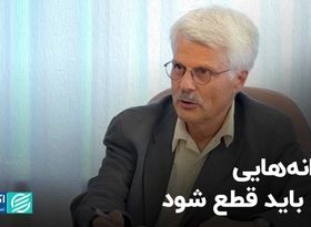 یارانه‌هایی که باید قطع شود