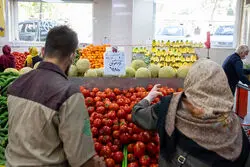 قیمت گوجه فرنگی کاهشی می شود/ گوجه فردا کیلویی 10 هزار تومان