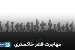 مهاجرت قشر خاکستری