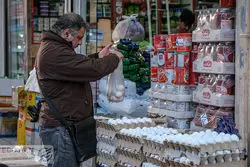 قیمت جدید تخم‌ مرغ اعلام شد