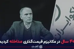 40 سال در مکانیزم قیمت‌گذاری مداخله کردیم