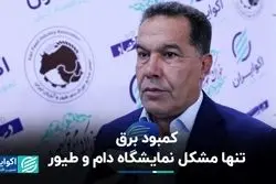 کمبود برق تنها مشکل نمایشگاه دام و طیور