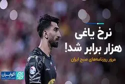 نرخ یاغی هزار برابر شد!