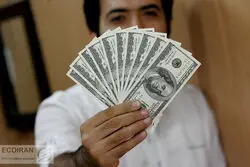 نوسان مثبت دلار با اهرم بازارهای مرزی / افزایش دلار سفید در بازار ارز