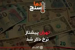 تهران پیشتاز نرخ دلار شد