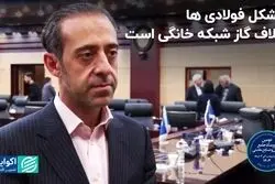 فولادی‌ها: تولید گاز در کشور کم نیست، مساله جای دیگری است