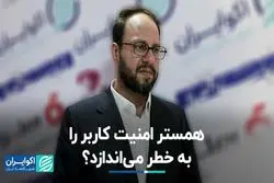 همستر امنیت کاربر را به خطر می‌اندازد ؟