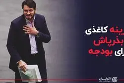 گزینه کاغذی بذرپاش برای بودجه