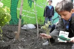 موشکافی یک تناقض بزرگ؛ ایران، دوم در عشق به طبیعت؛ آخر در حفاظت از آن!