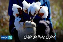 بحران پنبه در جهان