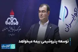 توسعه پتروشیمی بیمه میخواهد  