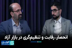 انحصار، رقابت و تنظیم‌گری در بازار آزاد 