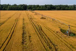 200متر زمین برای هر خانواده + فیلم