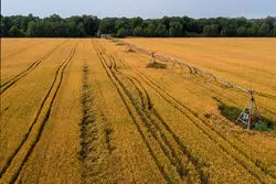 200متر زمین برای هر خانواده + فیلم