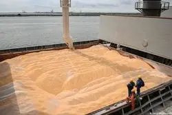 آغاز از سرگیری صادرات غلات اوکراین/ افت قیمت جهانی غلات در راه است   