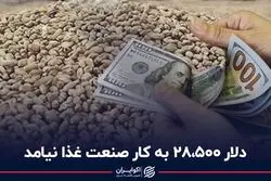 دلار 28500 به کار صنعت غذا نیامد