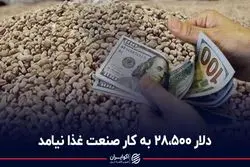 دلار 28500 به کار صنعت غذا نیامد