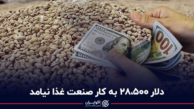 دلار 28500 به کار صنعت غذا نیامد