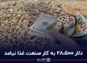 دلار 28500 به کار صنعت غذا نیامد