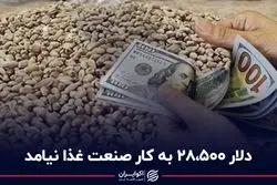 دلار 28500 به کار صنعت غذا نیامد