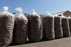 قاچاق 90 درصدی گردو و مغز بادام درختی به ایران