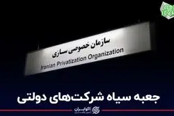 جعبه سیاه شرکت‌های دولتی