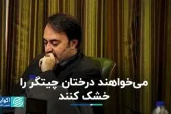 می‌خواهند درختان چیتگر را خشک کنند