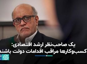 یک صاحب‌نظر ارشد اقتصادی: کسب‌وکارها مراقب اقدامات دولت باشند