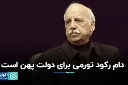 هدیه نامیمون سیاست ارزی