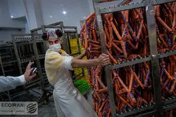 سهم صنعت غذا از دلارهای وارداتی + جدول