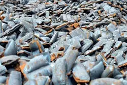 رقابت 13 درصدی فولادی‌ها برای آهن‌اسفنجی