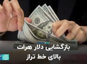 بازگشایی دلار هرات بالای خط تراز