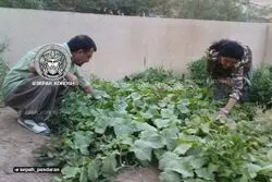 گروه هکری سپر کوروش به اطلاعات دبیرکل کومله نفوذ کرد + عکس