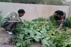 گروه هکری سپر کوروش به اطلاعات دبیرکل کومله نفوذ کرد + عکس