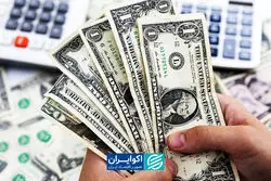روزهای مهم شهریور در بازار ارز