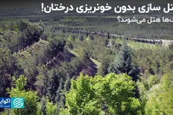 هرآنچه از هتل سازی زاکانی در بوستان‌های جنگلی می‌دانیم!   