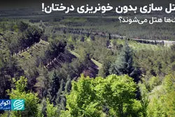 هرآنچه از هتل سازی زاکانی در بوستان‌های جنگلی می‌دانیم!   