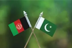 طالبان به حملات پاکستان پاسخ می دهد؟