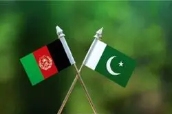 طالبان به حملات پاکستان پاسخ می دهد؟