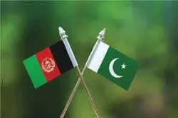 طالبان به حملات پاکستان پاسخ می دهد؟