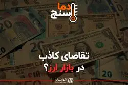 تقاضای کاذب در بازار ارز؟