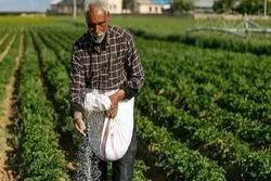 بیشترین افت تولید کشاورزی در یک دهه اخیر/ رشد مثبت در صنعت و خدمات 1401